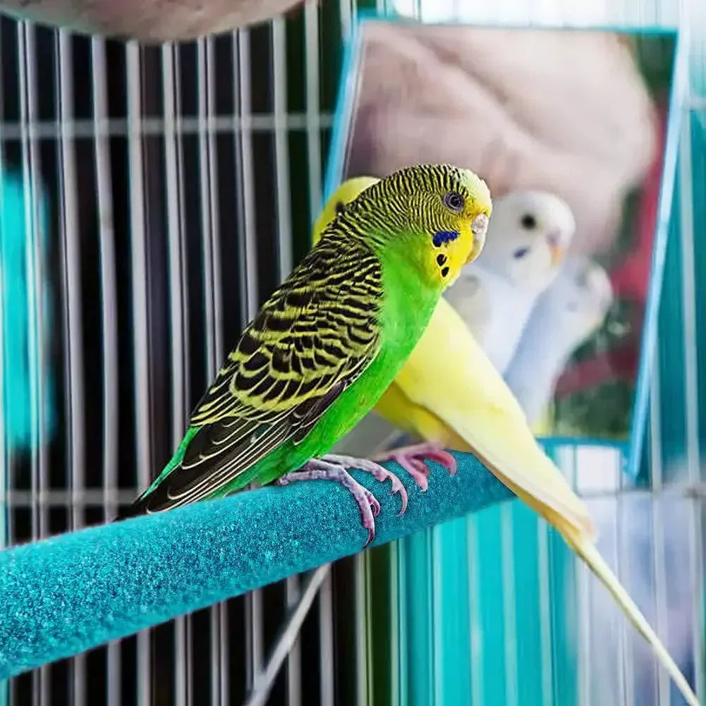 Natural Parrot Perch Stand