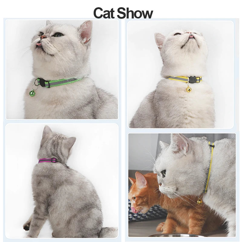 Reflective Cat Collar with Bell