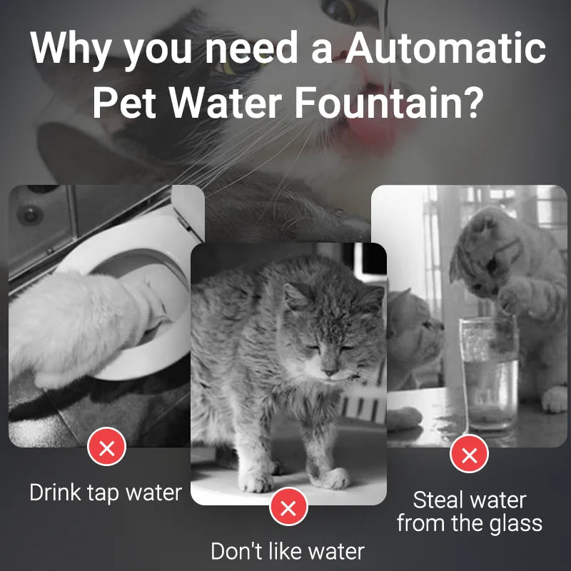 Smart Automatic Pet Fountain