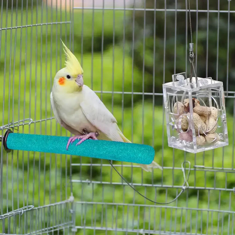 Natural Parrot Perch Stand