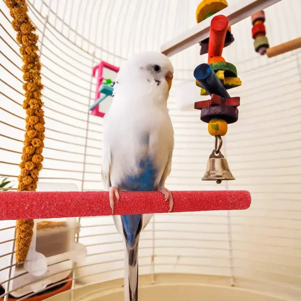 Natural Parrot Perch Stand