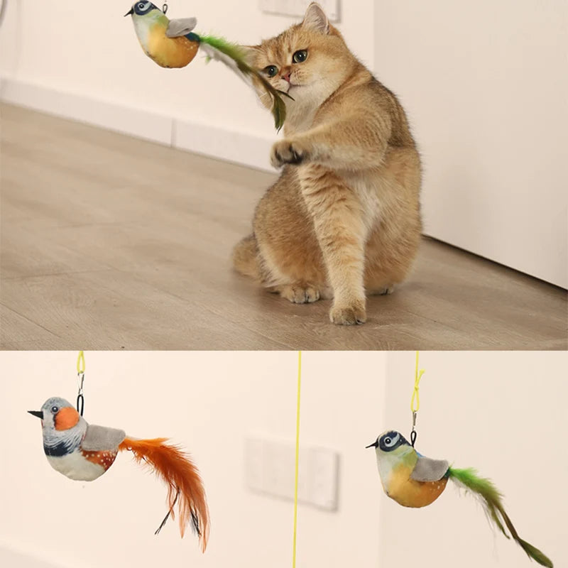 Interactive Feather Cat Toy