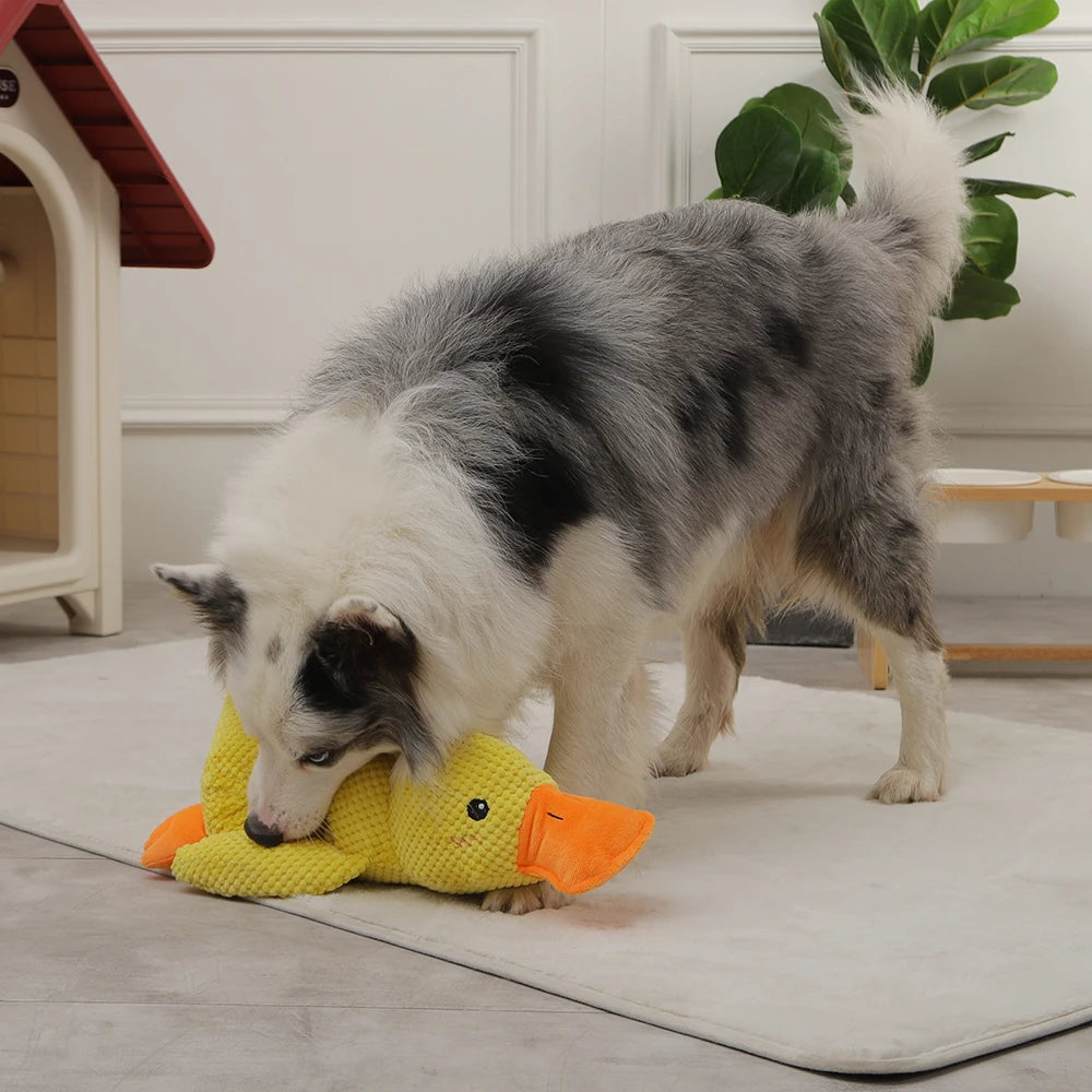 Plush Squeaky Duck Toy