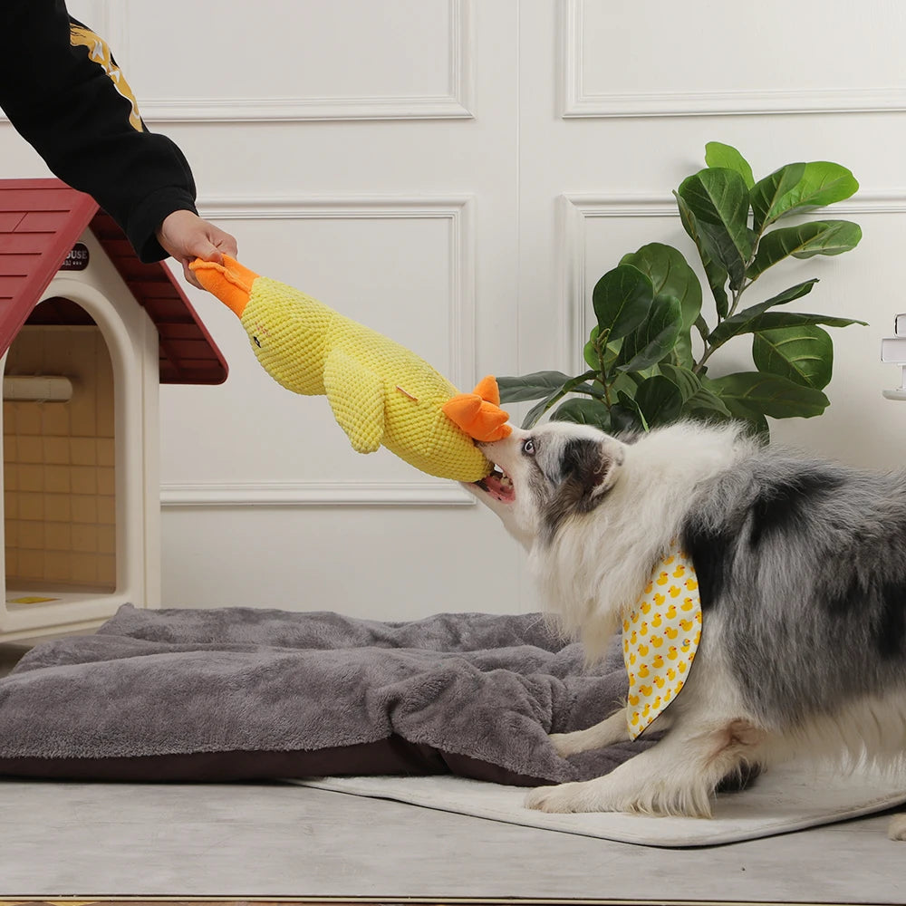 Plush Squeaky Duck Toy