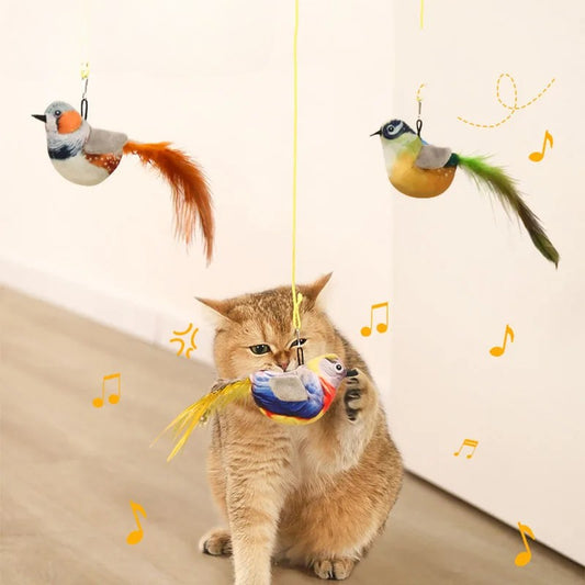 Interactive Feather Cat Toy